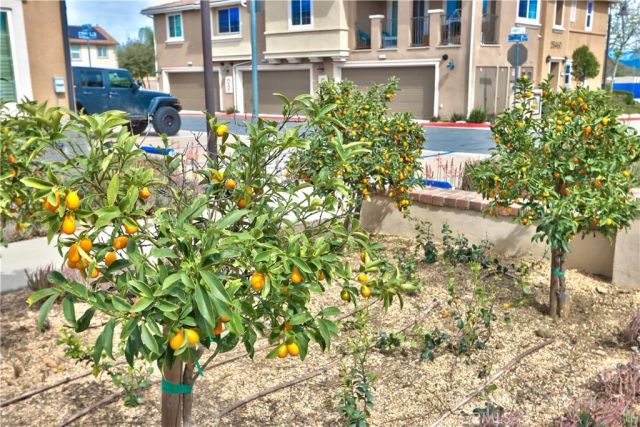 28397 Partridge Way 1001, Murrieta, CA 92563