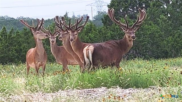 124 Old Mission Road, Kempner, TX 76539