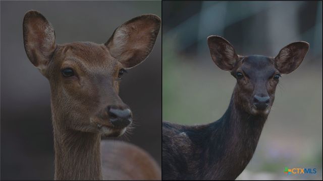 124 Old Mission Road, Kempner, TX 76539