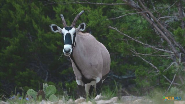 124 Old Mission Road, Kempner, TX 76539