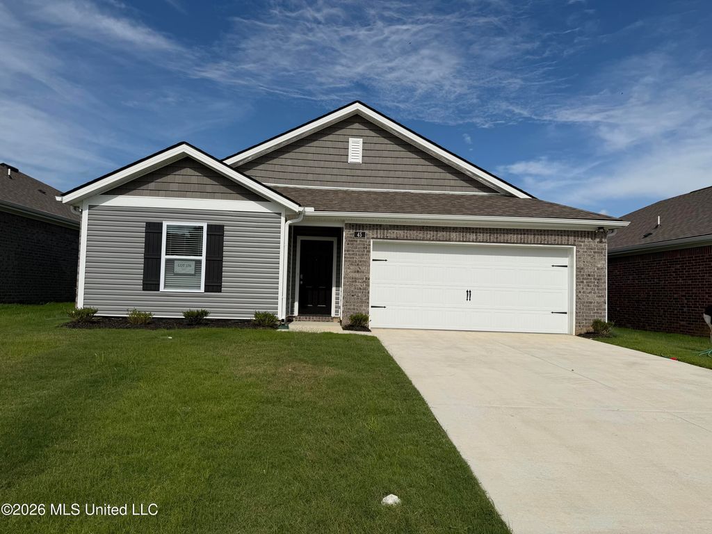 45 S Thorn Tree Street, Byhalia, MS 38611 — exterior