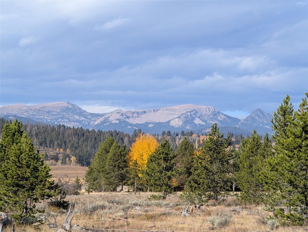 NHN Valentine Lane, West Yellowstone, MT 59758