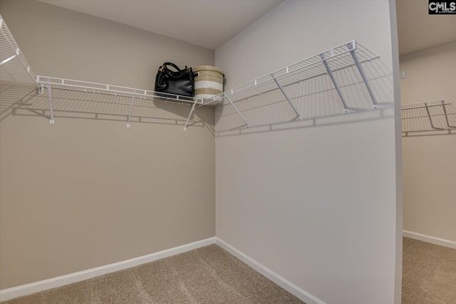 2656 Moon Seed Court, Lexington, SC 29073