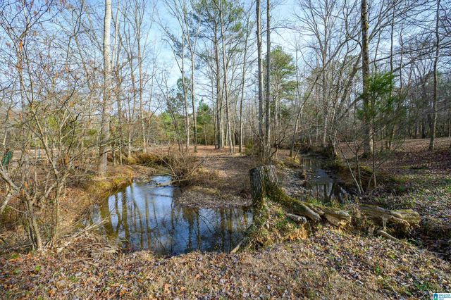 314 HIGHWAY 331, Columbiana, AL 35051