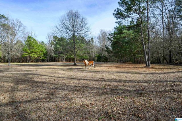 314 HIGHWAY 331, Columbiana, AL 35051