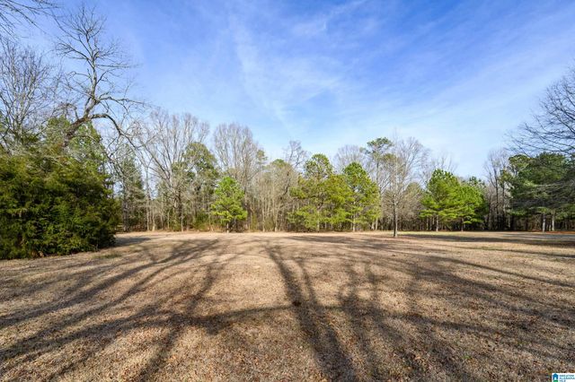 314 HIGHWAY 331, Columbiana, AL 35051