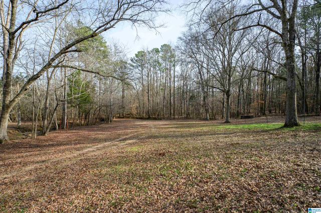 314 HIGHWAY 331, Columbiana, AL 35051