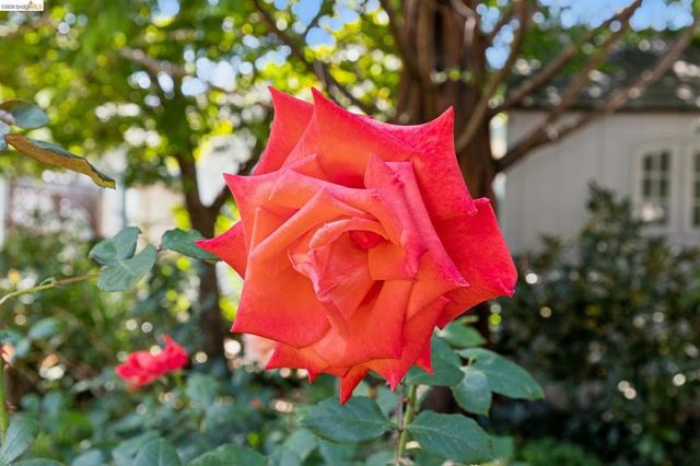 3027 Regent St, Berkeley, CA 94705