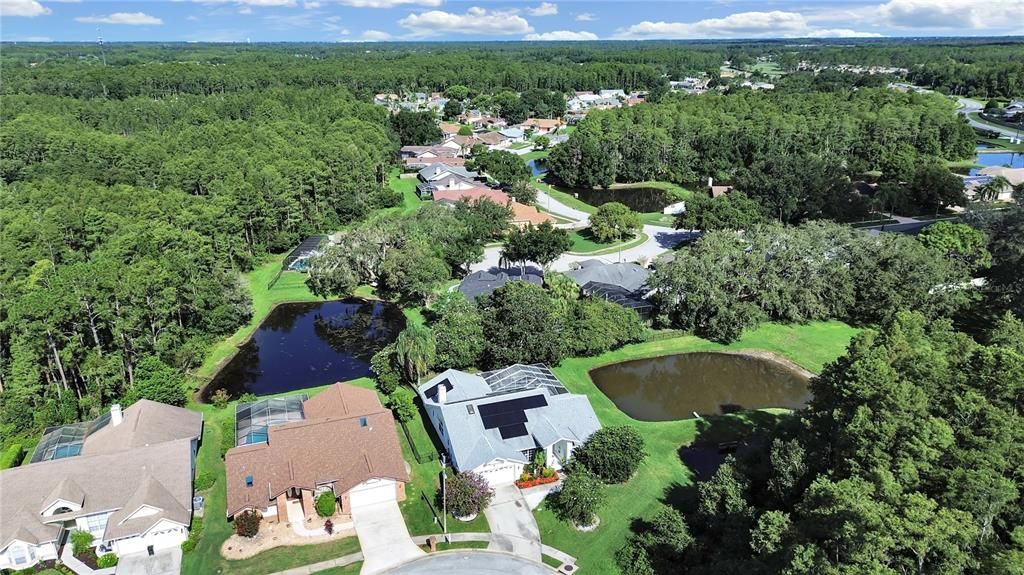 Image 42 of property listing at 5135 MUSSELSHELL DRIVE, New Port Richey, FL 34655