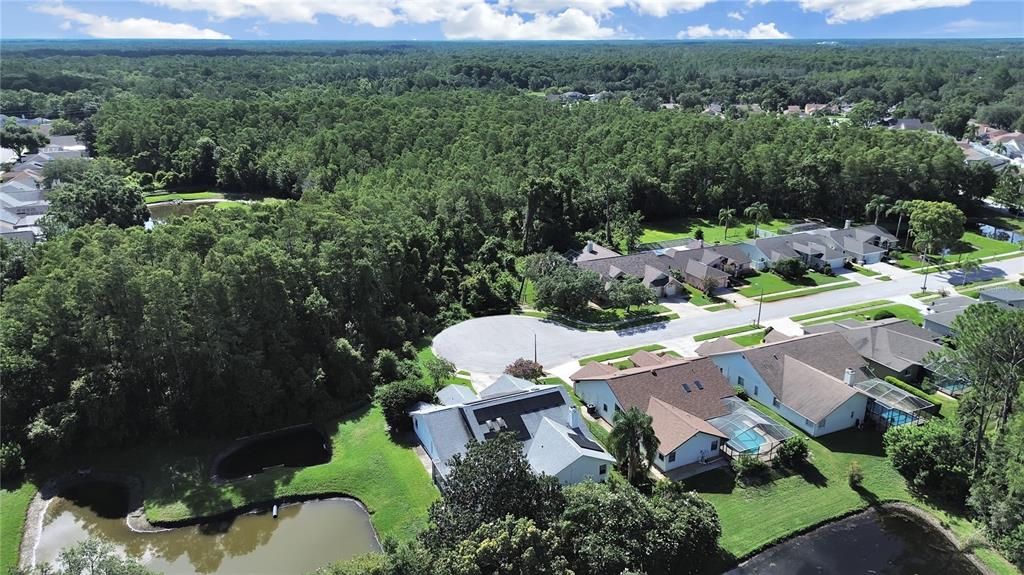 Image 43 of property listing at 5135 MUSSELSHELL DRIVE, New Port Richey, FL 34655