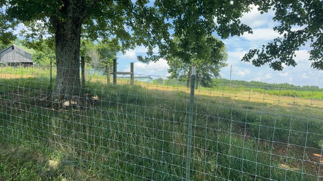 979 Walnut Grove School Rd Road, Waynesburg, KY 40489