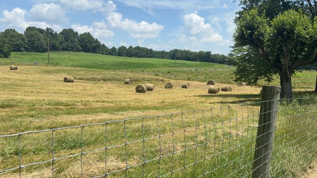 979 Walnut Grove School Rd Road, Waynesburg, KY 40489