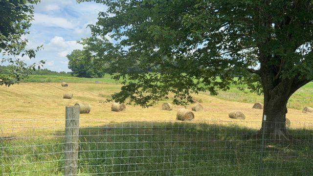 979 Walnut Grove School Rd Road, Waynesburg, KY 40489