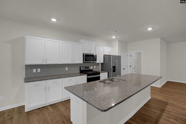 329 Sycamore Crest Way, Chapin, SC 29036