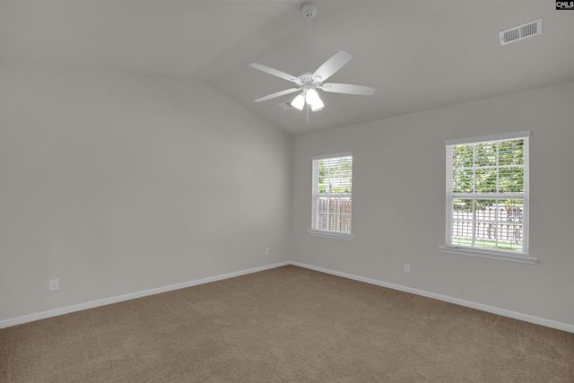 329 Sycamore Crest Way, Chapin, SC 29036
