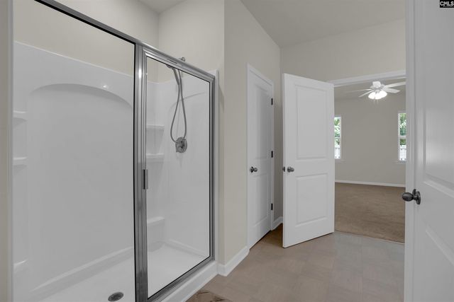 329 Sycamore Crest Way, Chapin, SC 29036