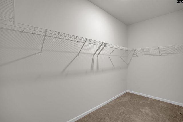 329 Sycamore Crest Way, Chapin, SC 29036