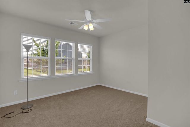 329 Sycamore Crest Way, Chapin, SC 29036