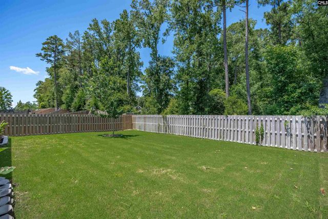 329 Sycamore Crest Way, Chapin, SC 29036