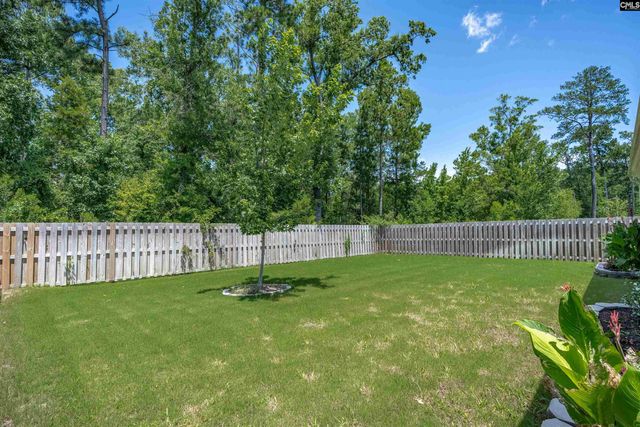 329 Sycamore Crest Way, Chapin, SC 29036