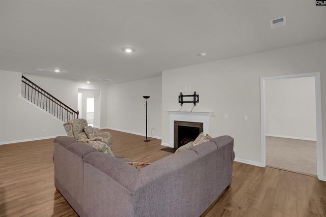 329 Sycamore Crest Way, Chapin, SC 29036