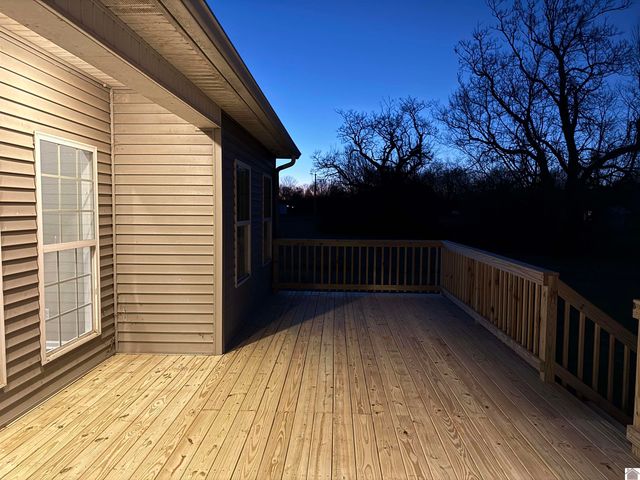 216 Braxton Bend, Ledbetter, KY 42058