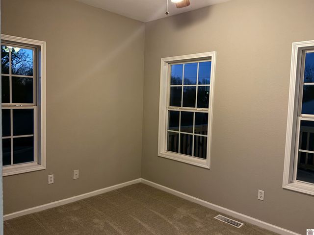 216 Braxton Bend, Ledbetter, KY 42058