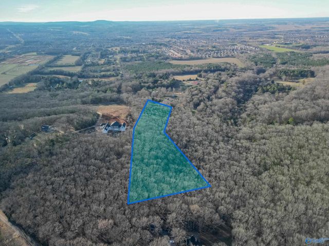 424 Shane Drive, New Market, AL 35761