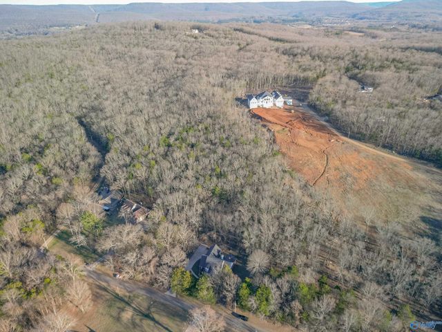 424 Shane Drive, New Market, AL 35761