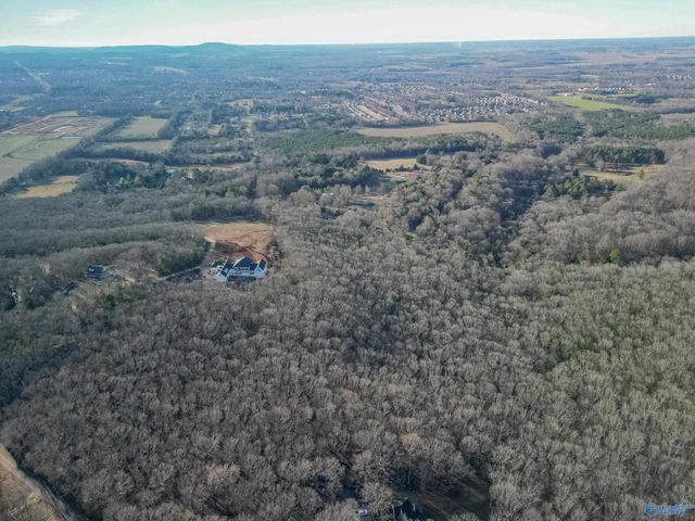 424 Shane Drive, New Market, AL 35761