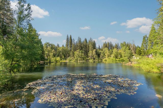 2397 Cedar Ln, Arnold, CA 95223