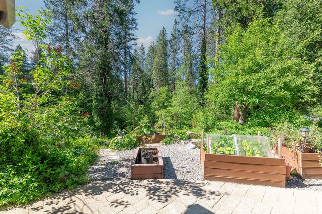 2397 Cedar Ln, Arnold, CA 95223