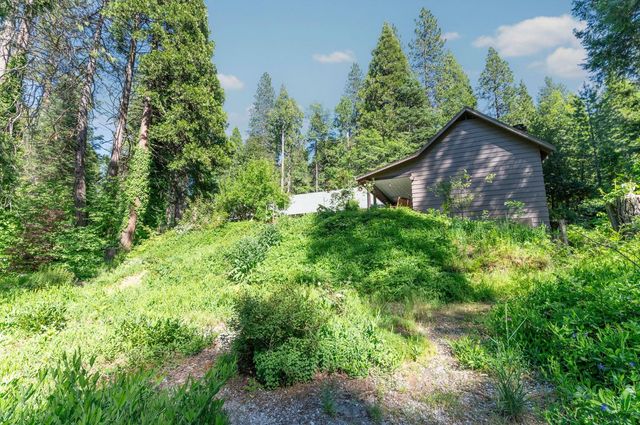 2397 Cedar Ln, Arnold, CA 95223
