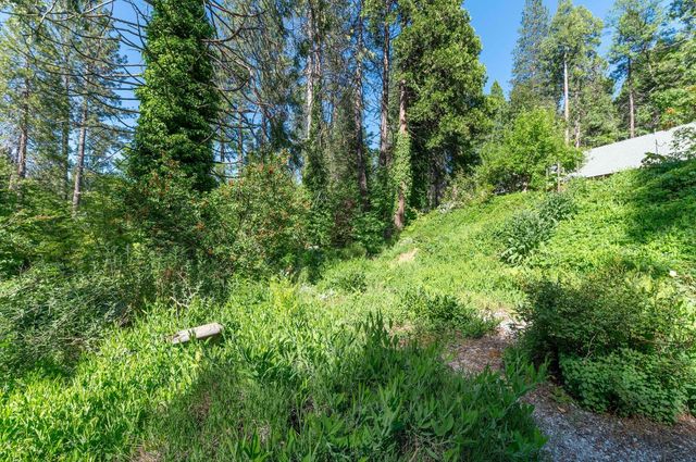 2397 Cedar Ln, Arnold, CA 95223