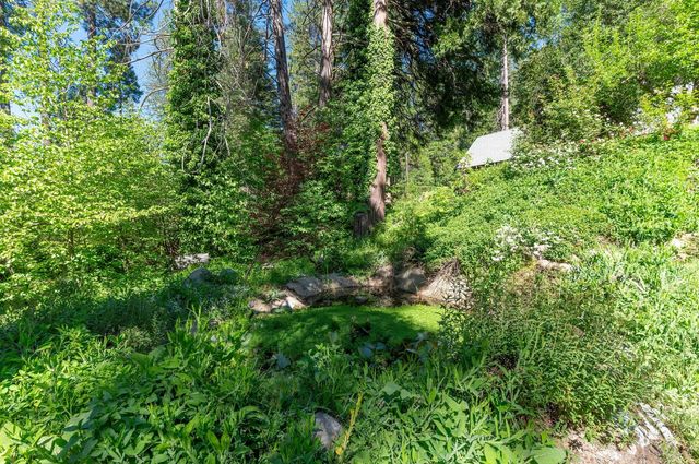 2397 Cedar Ln, Arnold, CA 95223
