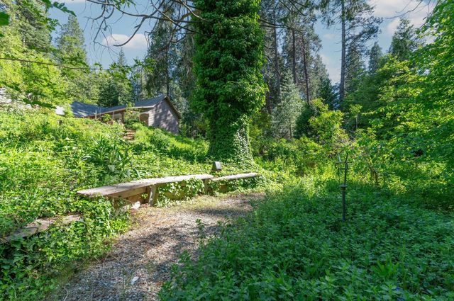 2397 Cedar Ln, Arnold, CA 95223
