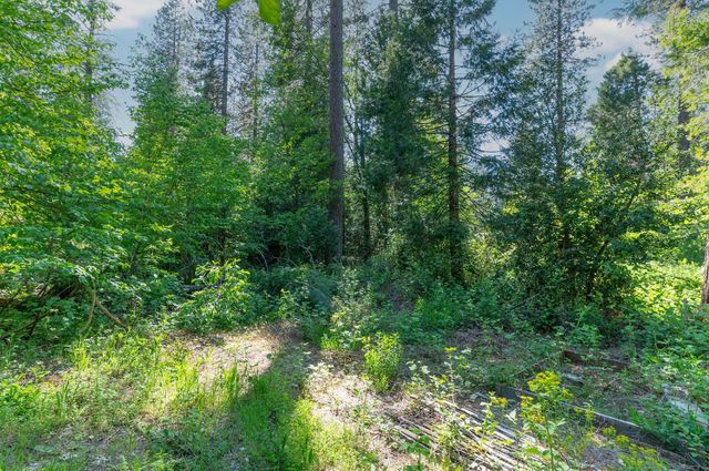 2397 Cedar Ln, Arnold, CA 95223