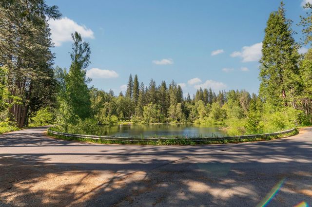 2397 Cedar Ln, Arnold, CA 95223