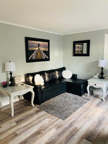 203 Gasoline Alley, Houghton Lake, MI 48629