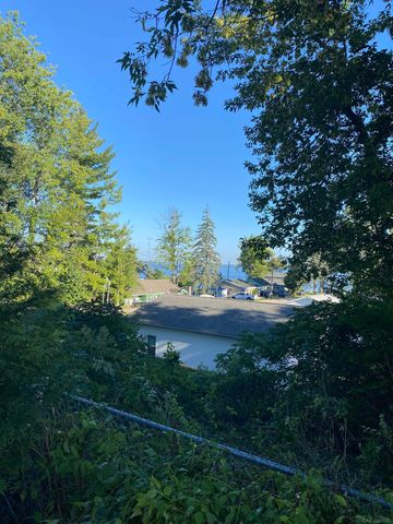 203 Gasoline Alley, Houghton Lake, MI 48629