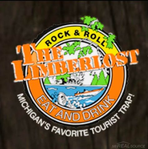 203 Gasoline Alley, Houghton Lake, MI 48629