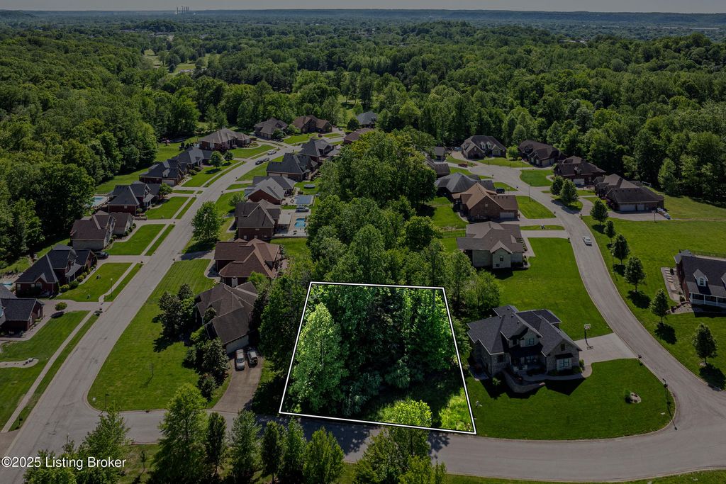 9814 Sunnys Halo Ct, Louisville, KY 40214