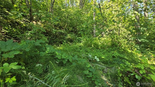 501 33rd Avenue S, Seattle, WA 98144