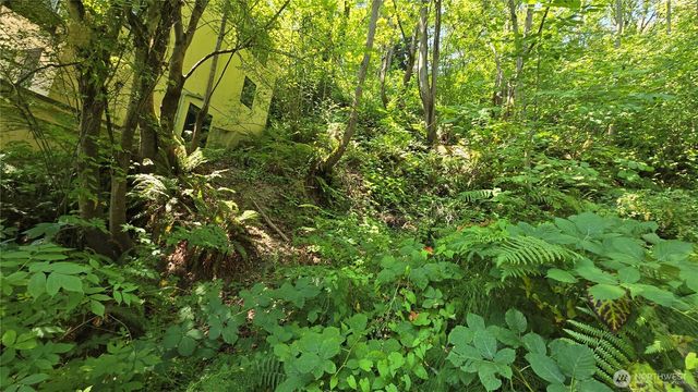 501 33rd Avenue S, Seattle, WA 98144