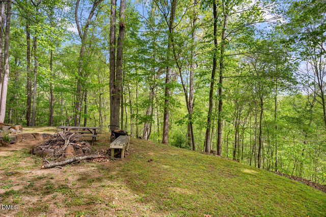 31 Mt Bolus Road, Chapel Hill, NC 27514