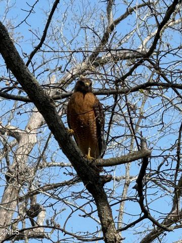 31 Mt Bolus Road, Chapel Hill, NC 27514