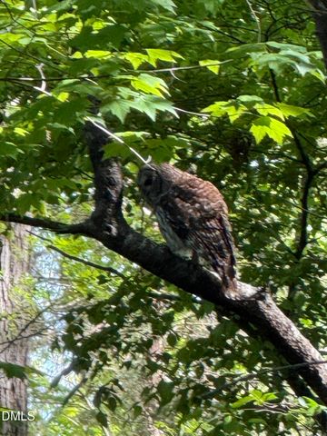 31 Mt Bolus Road, Chapel Hill, NC 27514