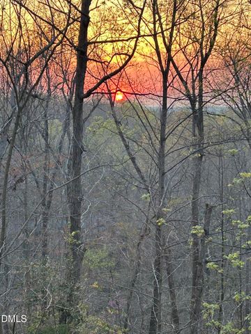 31 Mt Bolus Road, Chapel Hill, NC 27514