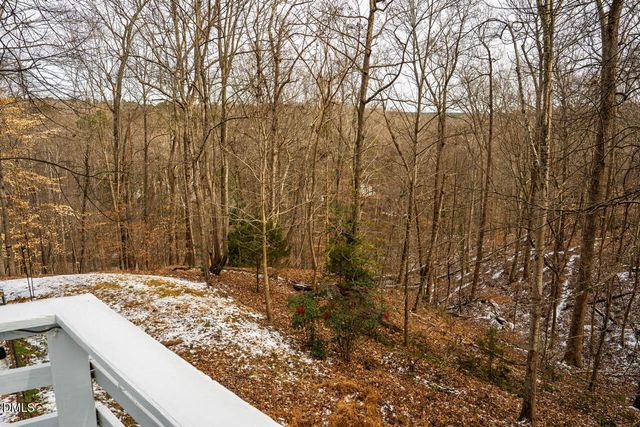 31 Mt Bolus Road, Chapel Hill, NC 27514