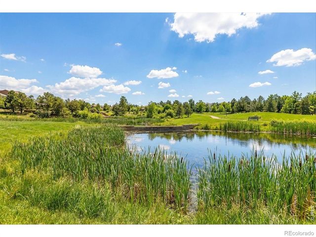 15993 Swan Mountain Drive, Broomfield, CO 80023
